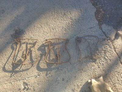 vintage wire spring trap