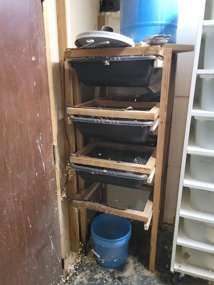 Homemade Rat breeding rack