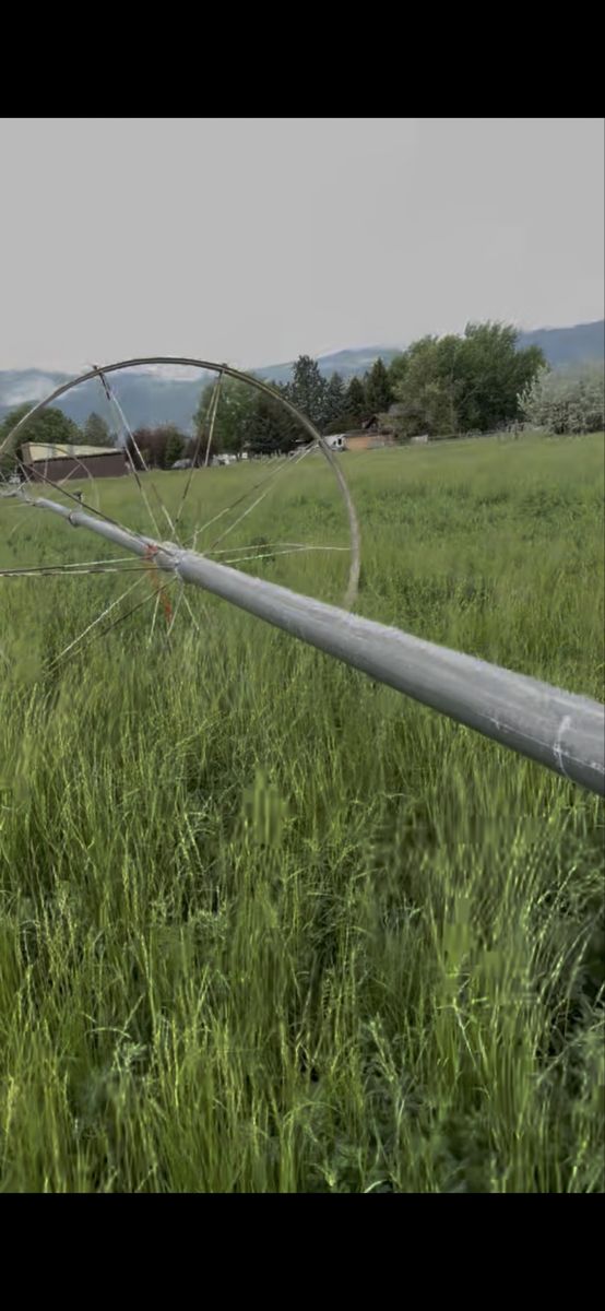 Alfalfa Grass Hay Heber Small Bales