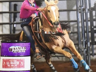 Sale/part trade AQHA 4-H youth or adult barrel mare