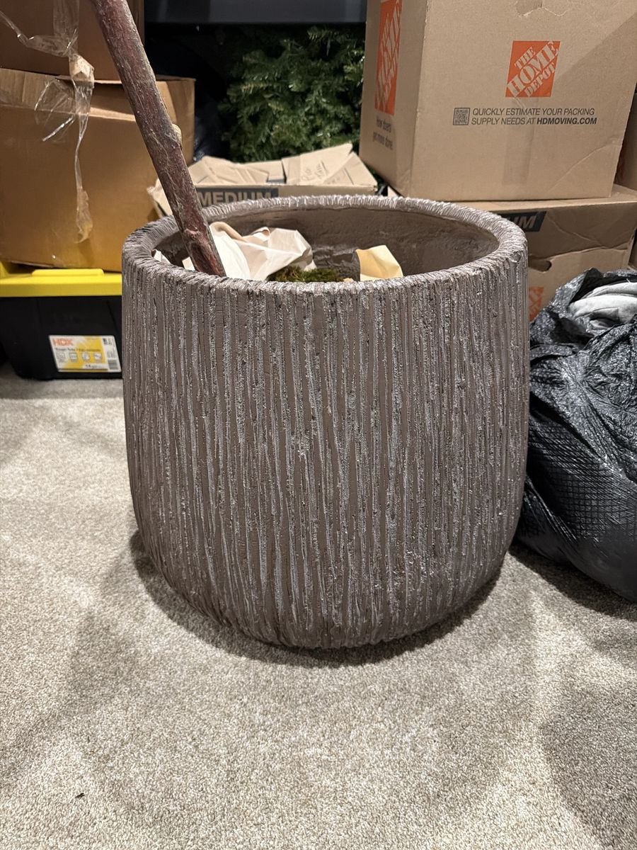 2 RH Restoration Hardware CASTEL PLANTER Size B - Faux Concrete Planter with Faux Fiddle Leaf Tree