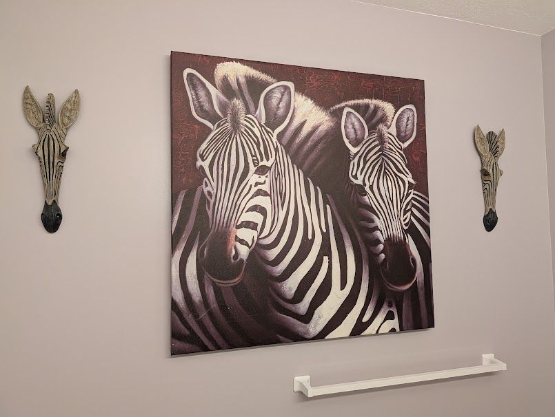 Serengeti-Inspired Zebra Art Set