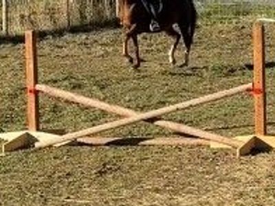Adjustable Horse Training Jump Set