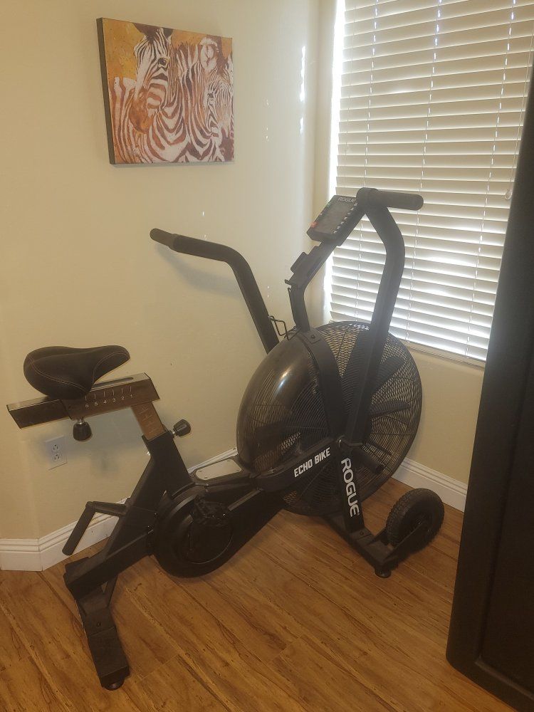 Rouge Echo Bike