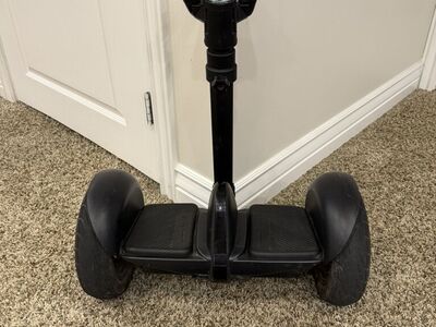 Segway Ninebot S