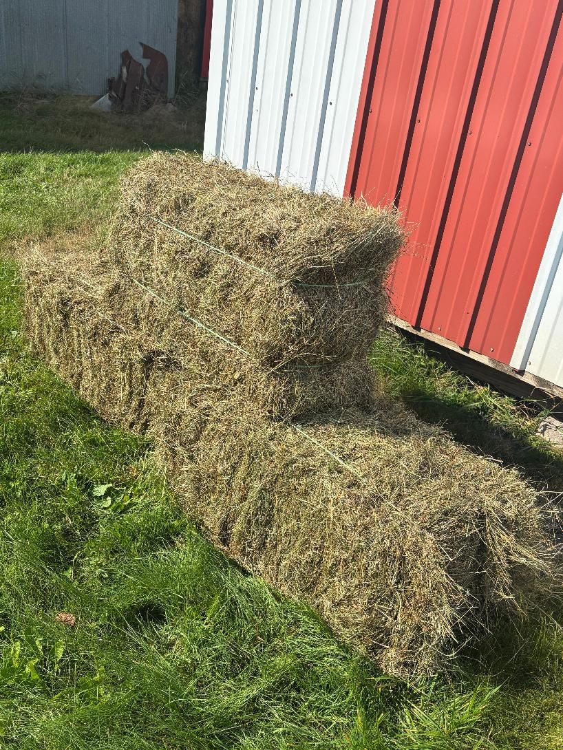 Hay for sale