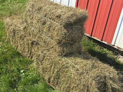 Hay for sale