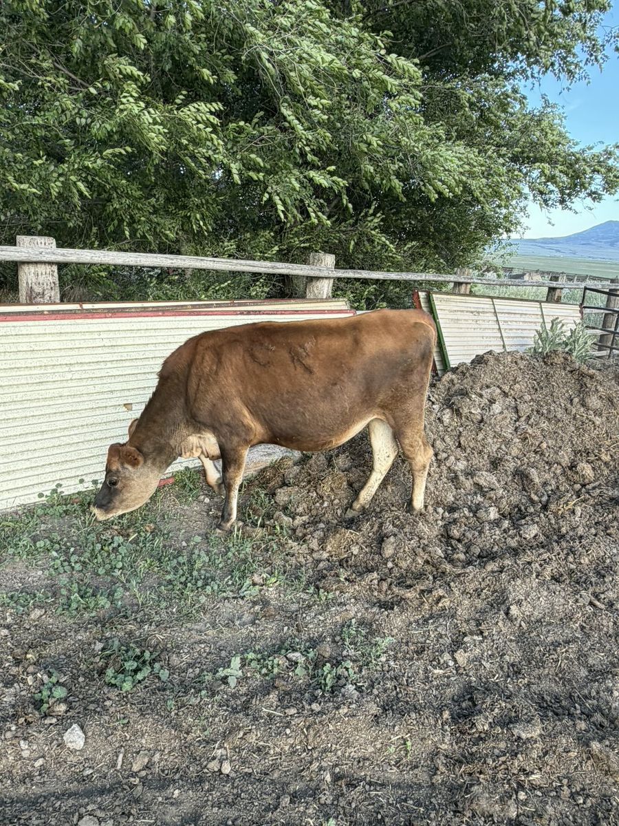Main image 4