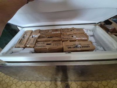 *American Wagyu Beef for sale*