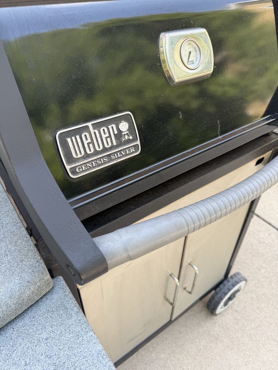 Weber Grill