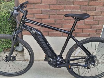 Giant Roam E+ GTS Electric Bike — Large Frame, Excellent Condition
