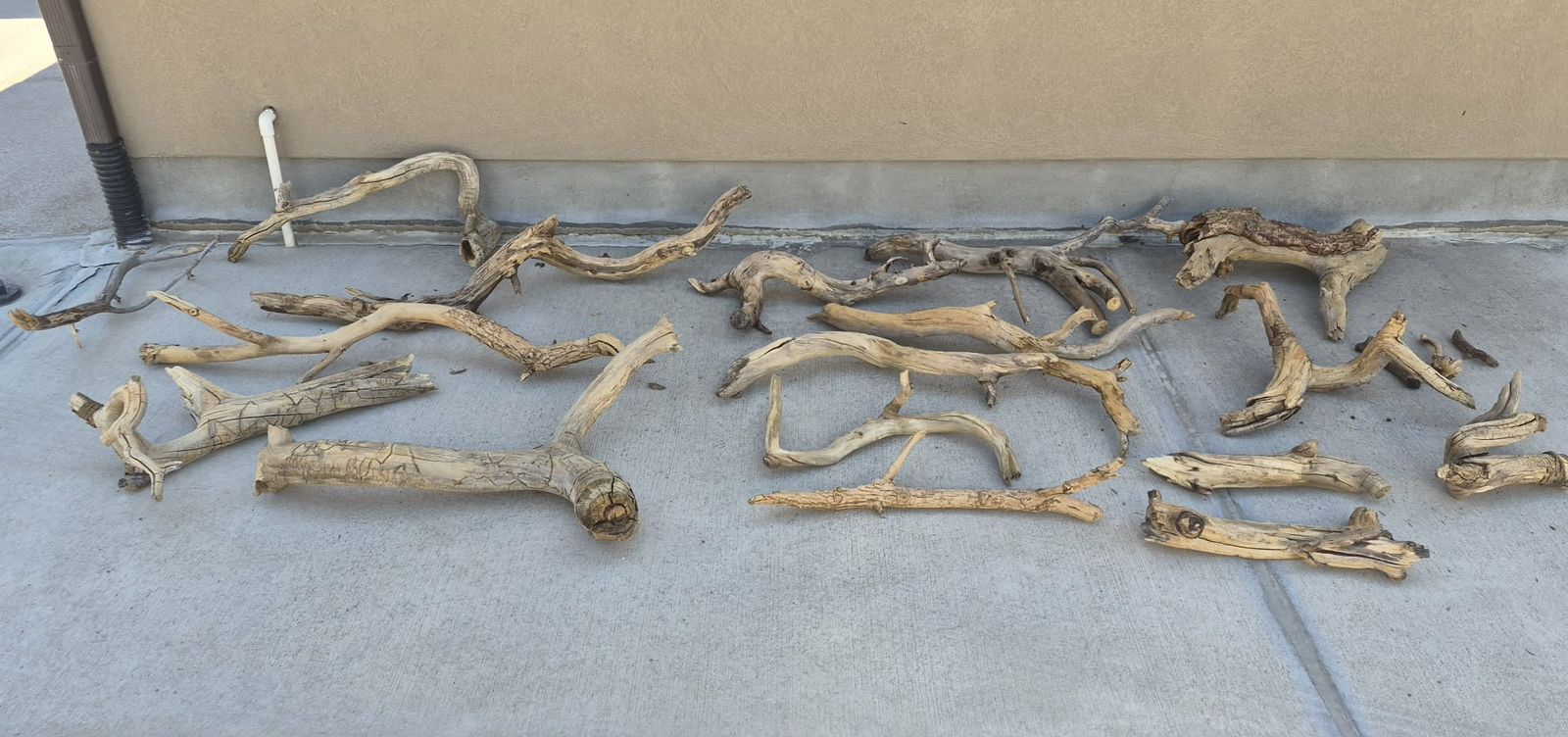 Aquarium Driftwood… Lots of Sizes