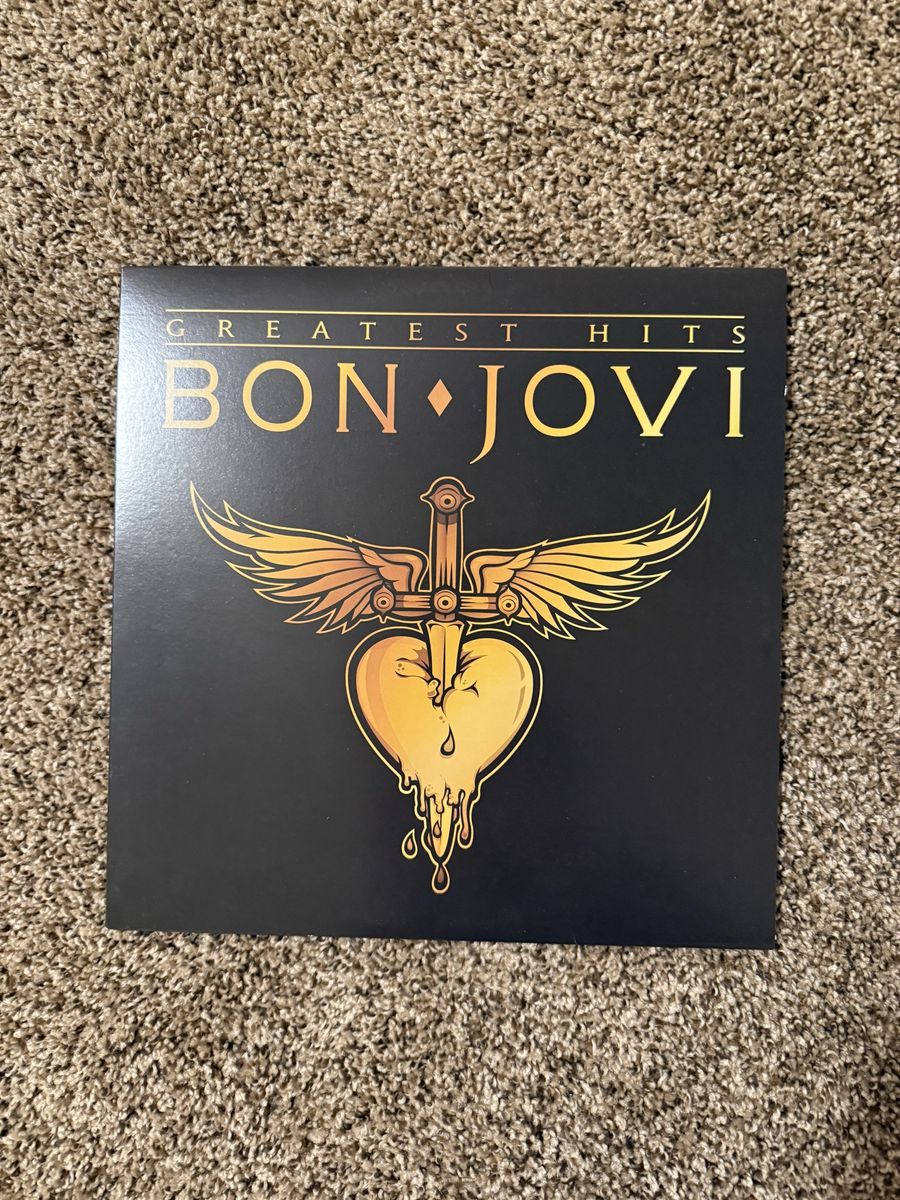 2010 Bon Jovi record vinyl album 