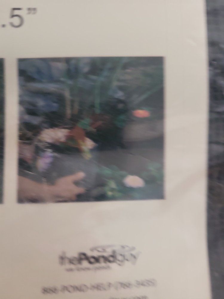 Main image 3