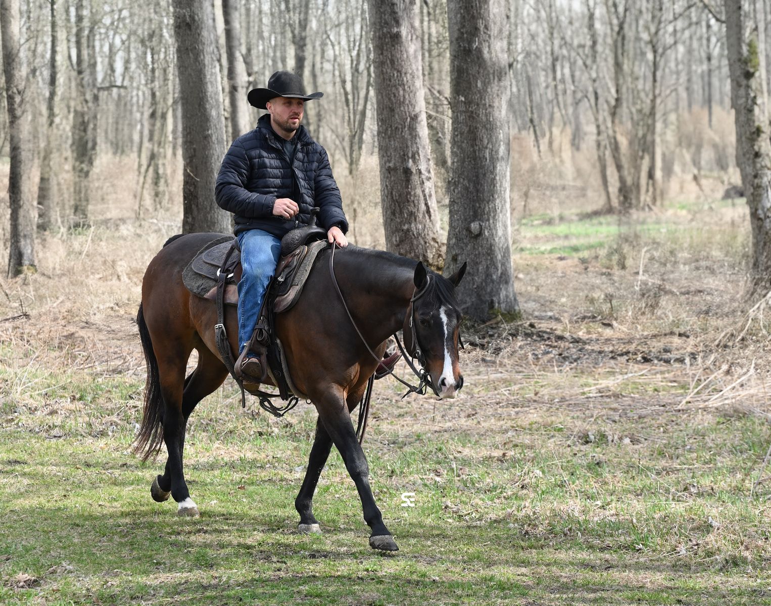 GORGEOUS Family Safe AQHA mare!