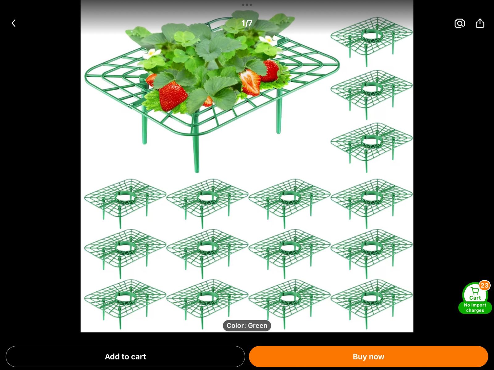 Strawberry riser for garden