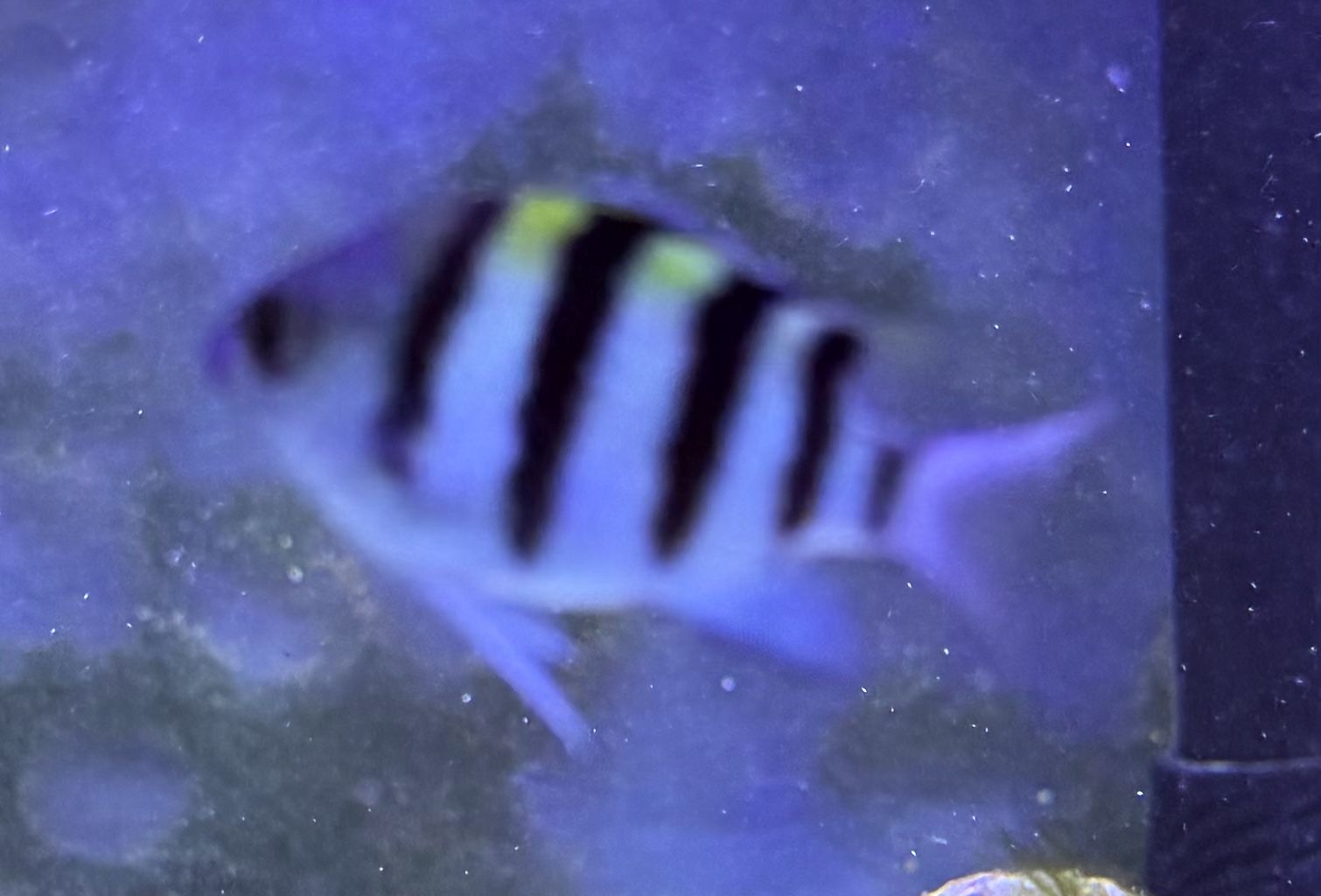 Main image 3