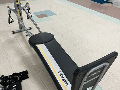 Total Gym Fit Anniversary Edition Home Exercise Machine