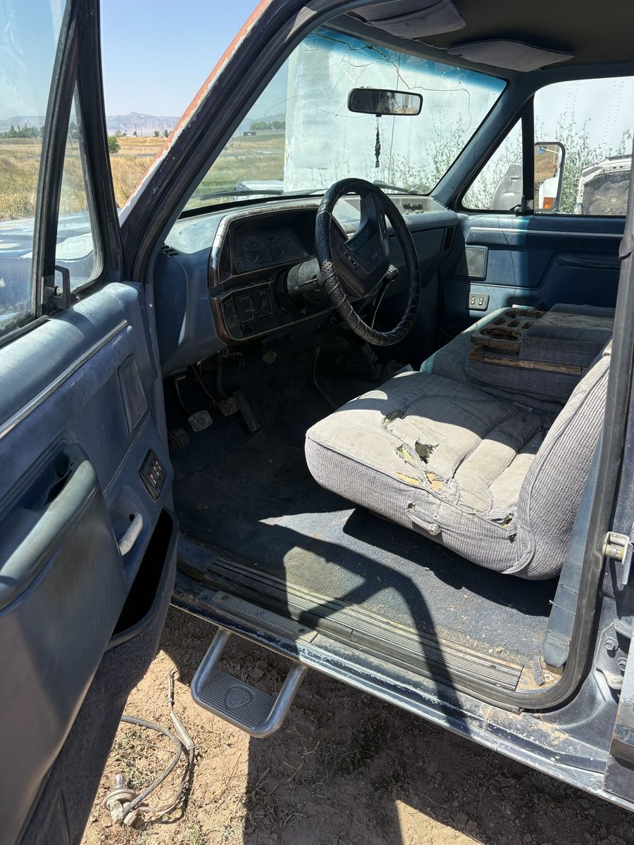 Main image 7