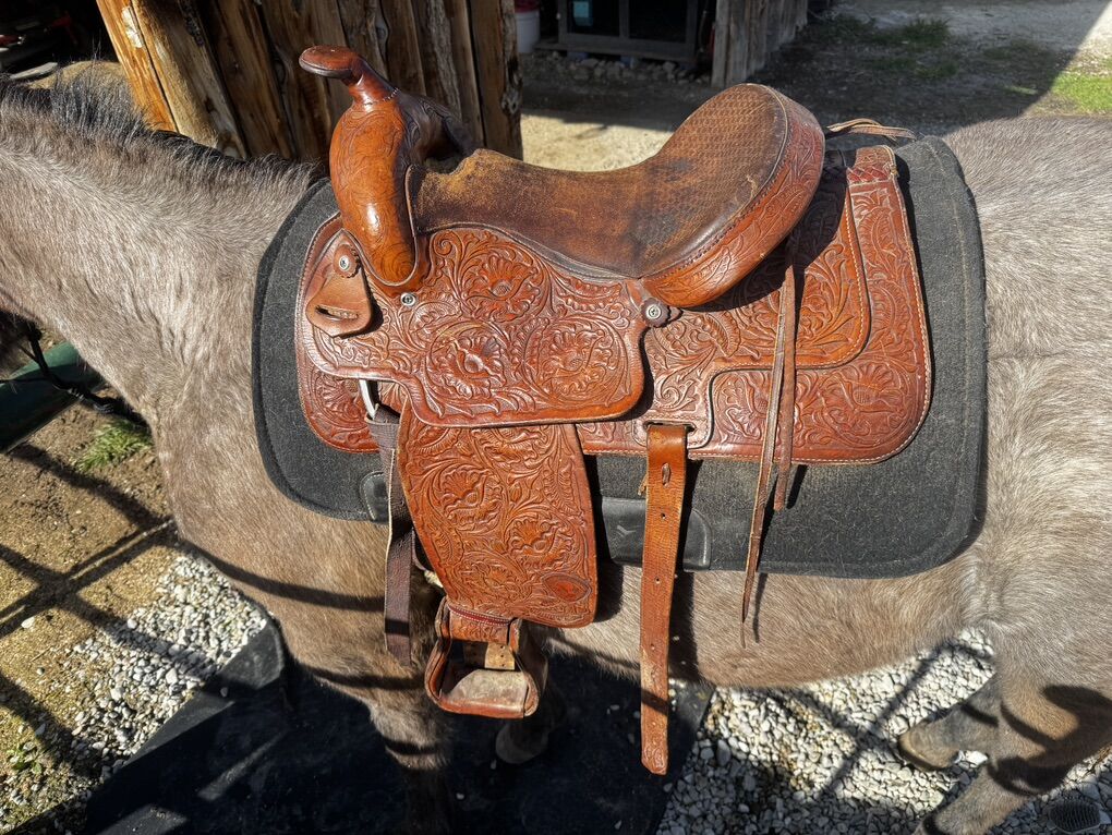 14.5 Western Saddle