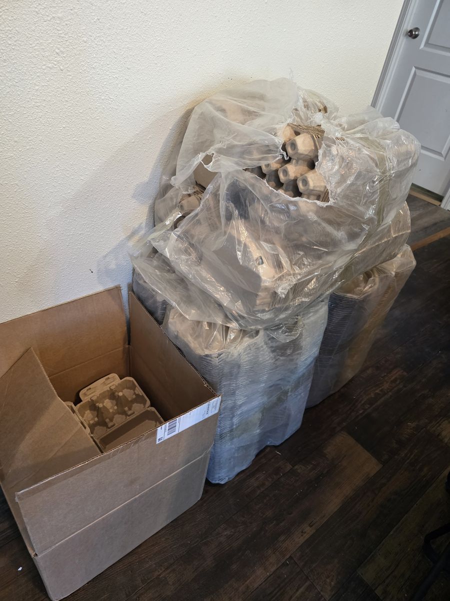 Brand new egg cartons