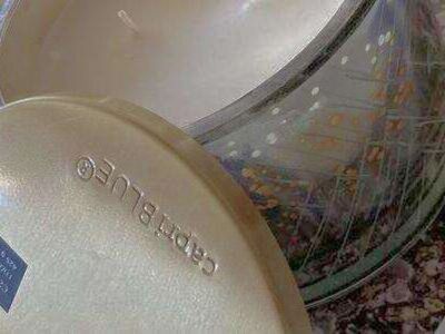 Capri Blue Volcano 15oz New Candle