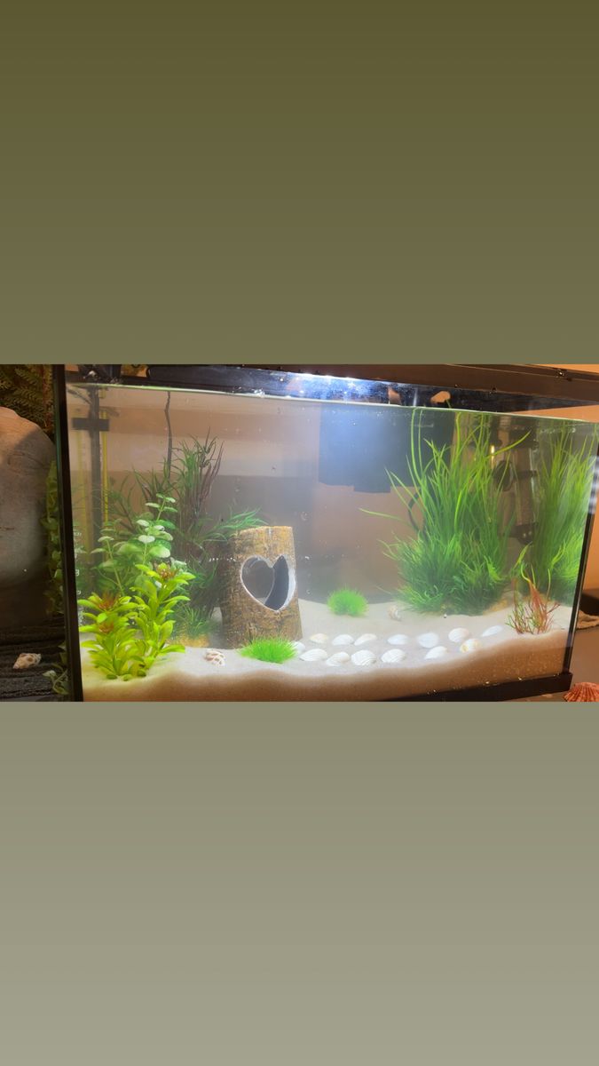5 Gallon With Everything You Need