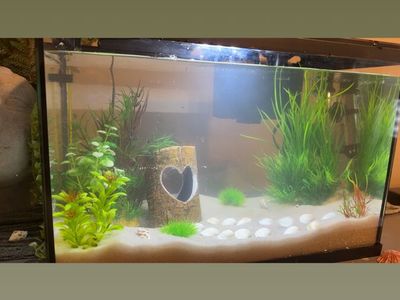 5 Gallon With Everything You Need