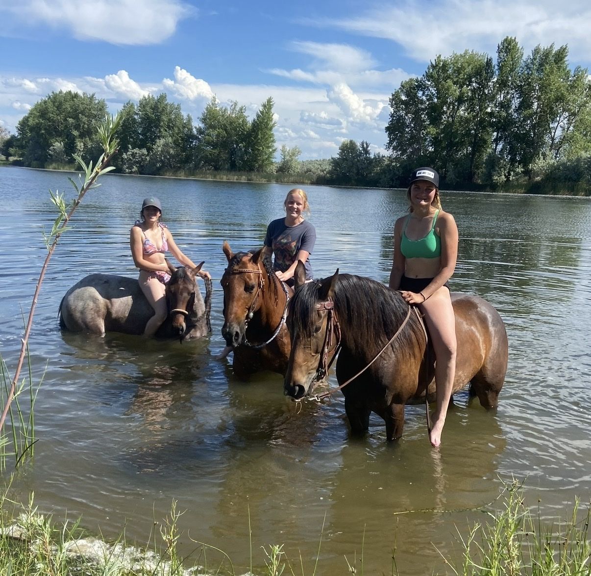 4H JR Rodeo Horse - Gentle & Kid Friendly