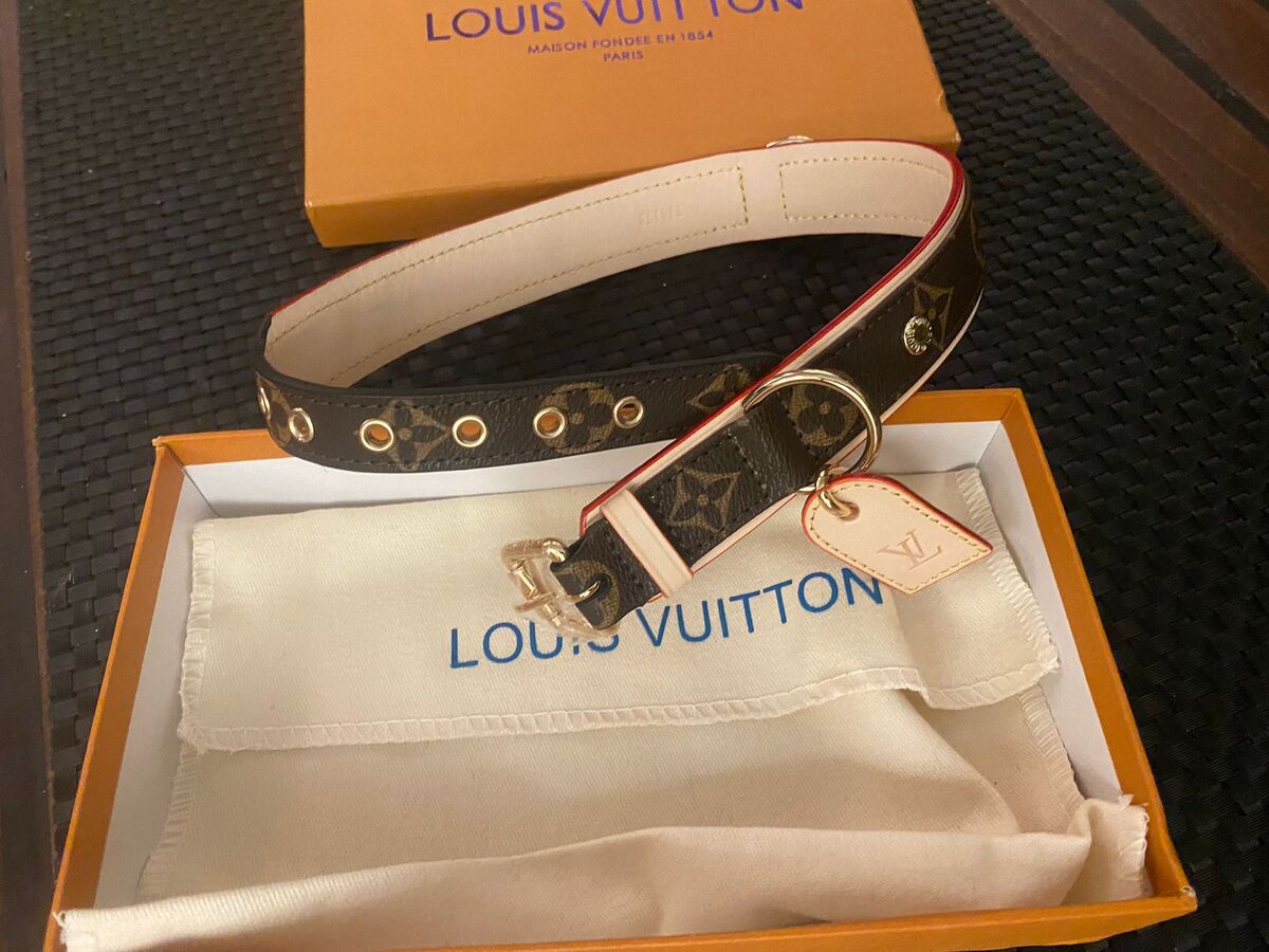 New Louis Vuitton leather dog collar