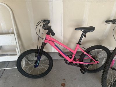 Nishiki Pueblo 20" Youth Mountain Bike Pink