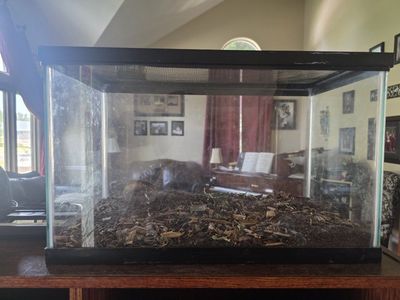 10 gallon terrarium for small reptile