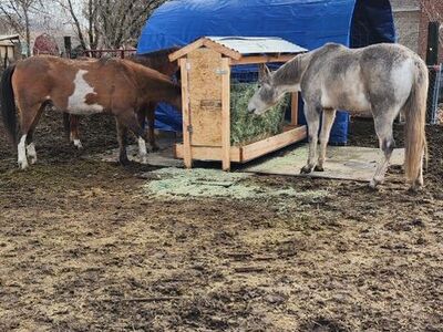 Horse Feeder