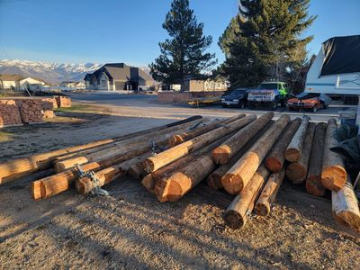 Telephone poles
