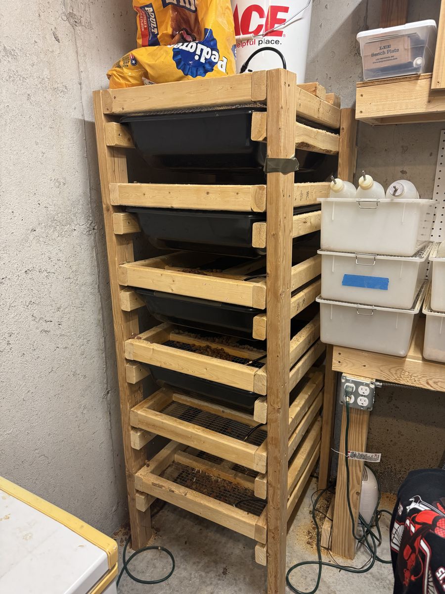 Rat And Mice Breeding Setup