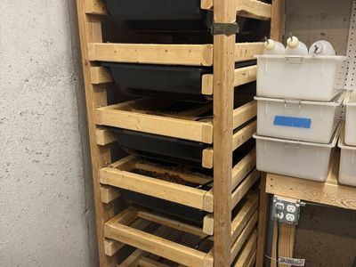 Rat And Mice Breeding Setup
