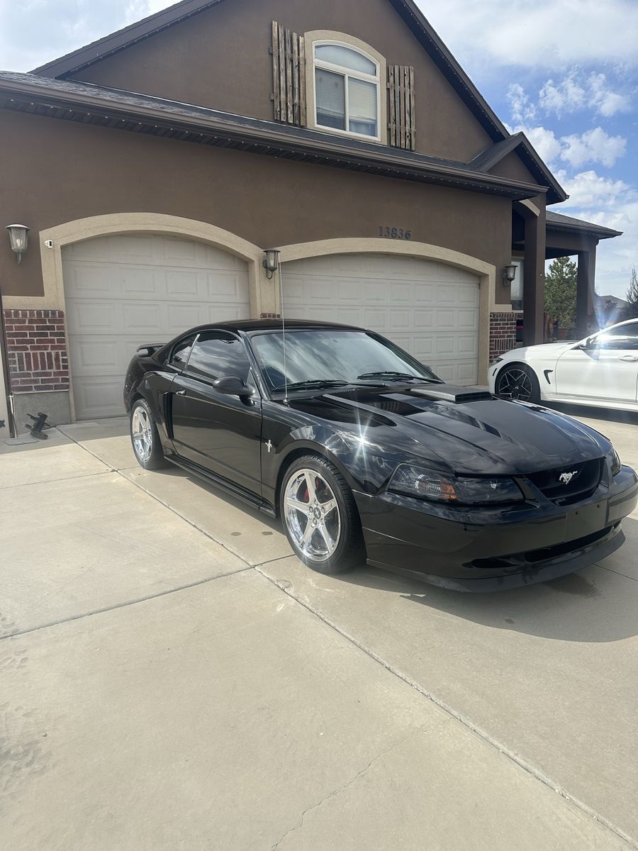 2003 Ford Mustang Mach 1 Premium