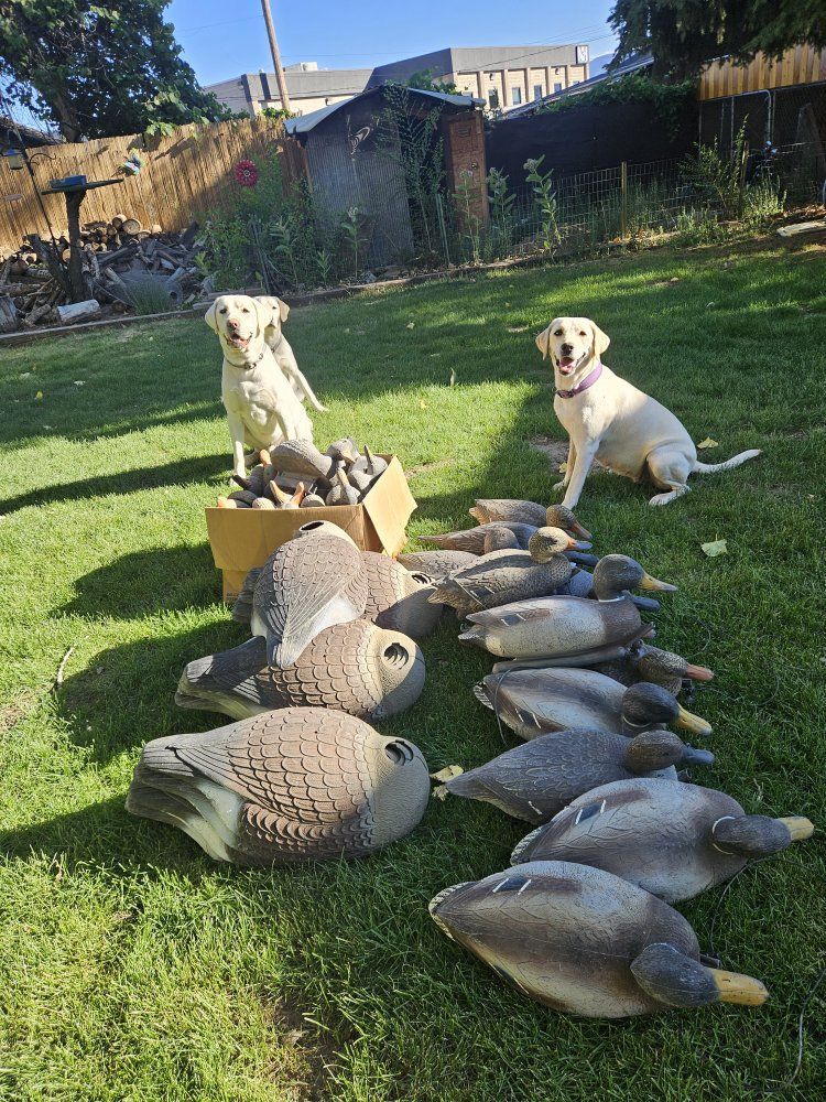 Decoys