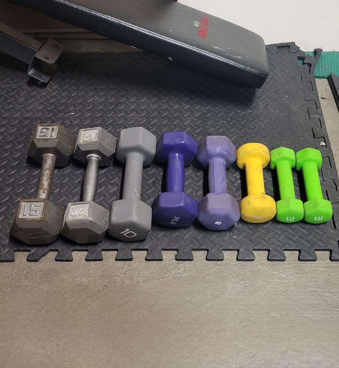 Dumbbells 65 pounds