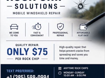 Rock Chip Repair
