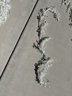Main image 6