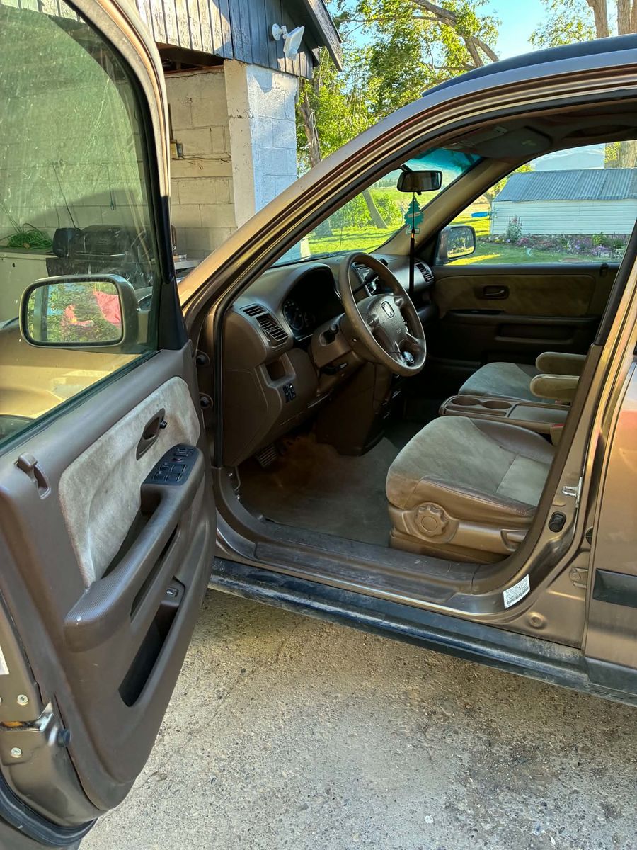 Main image 6