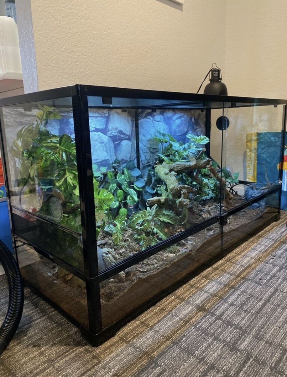 Trade For  90 Gal Bio Active Terrarium With Snakes