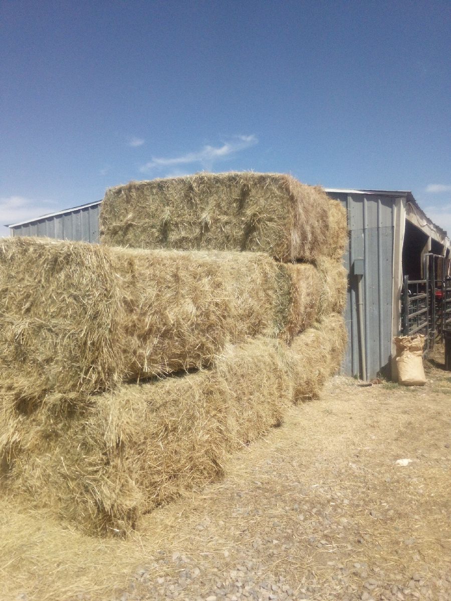 3x4 Grass Bales