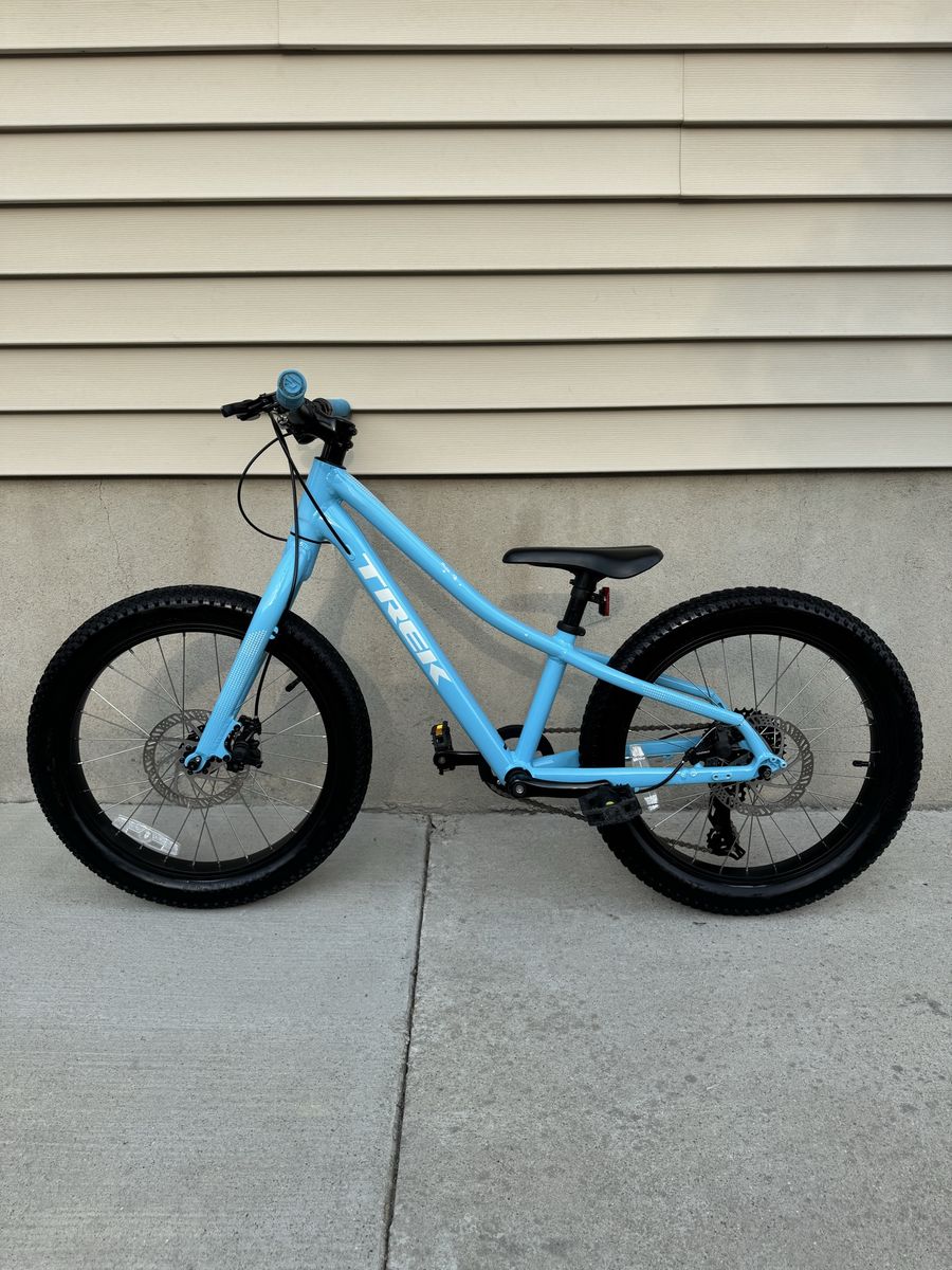 Trek Roscoe 20”