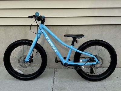 Trek Roscoe 20”