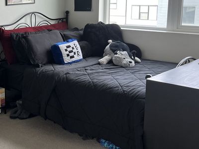 Bed Frame (full bed size)