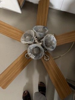 Ceiling fan