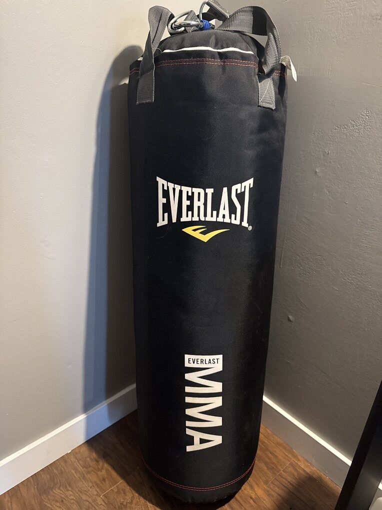 Everlast MMA Punching Bag