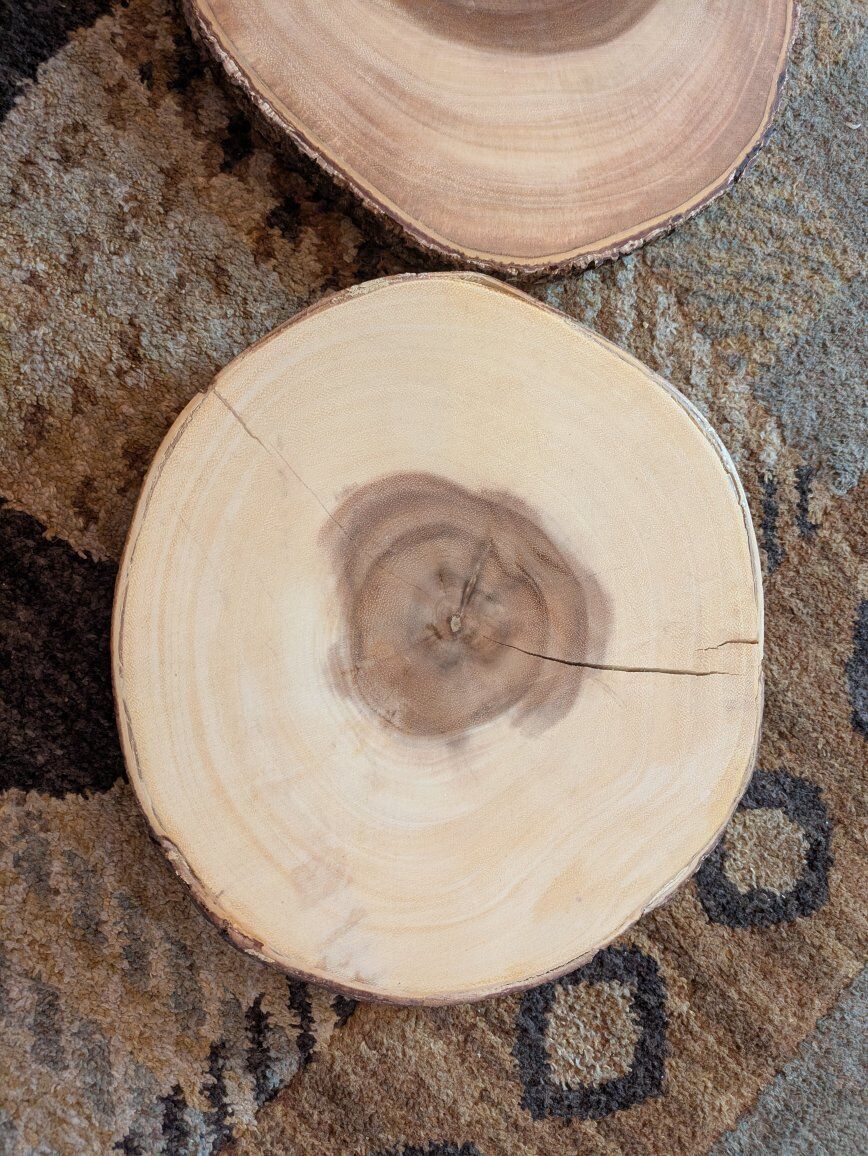 Rustic Cabin Wood Decor